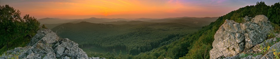 Header image alt text